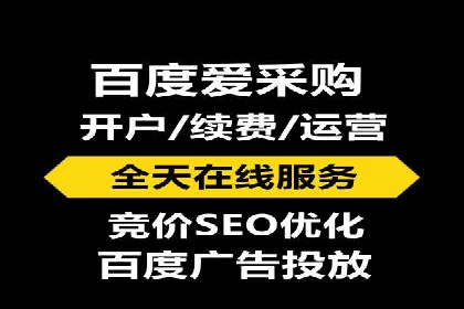 案例研究：SEM开户助力电商快速崛起